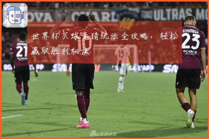 世界杯买球竞猜玩法全攻略，轻松赢取胜利秘诀