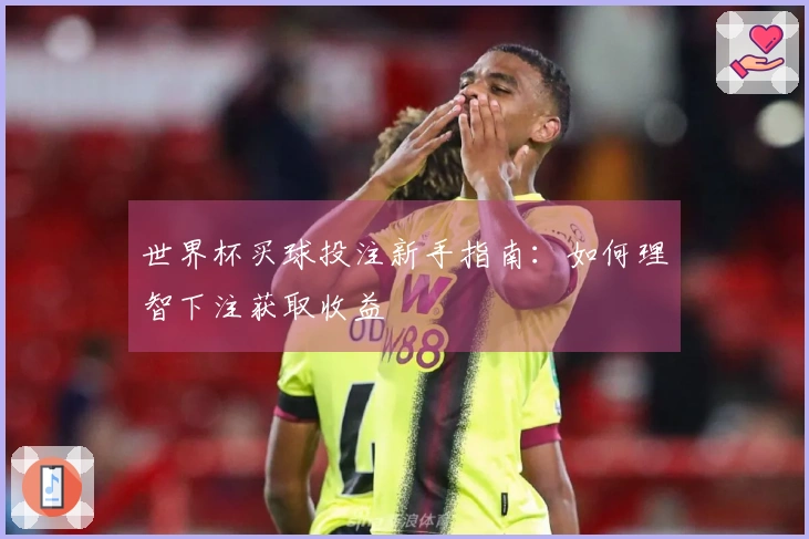 世界杯买球投注新手指南：如何理智下注获取收益