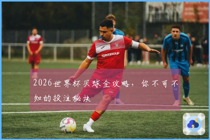 2026世界杯买球全攻略，你不可不知的投注秘诀