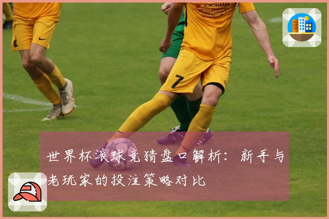 世界杯滚球竞猜盘口解析：新手与老玩家的投注策略对比
