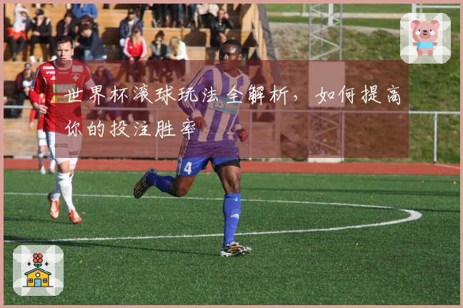 世界杯滚球玩法全解析，如何提高你的投注胜率