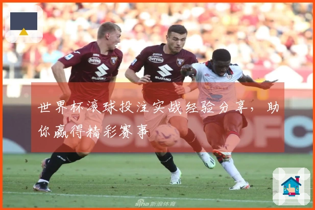 世界杯滚球投注实战经验分享，助你赢得精彩赛事