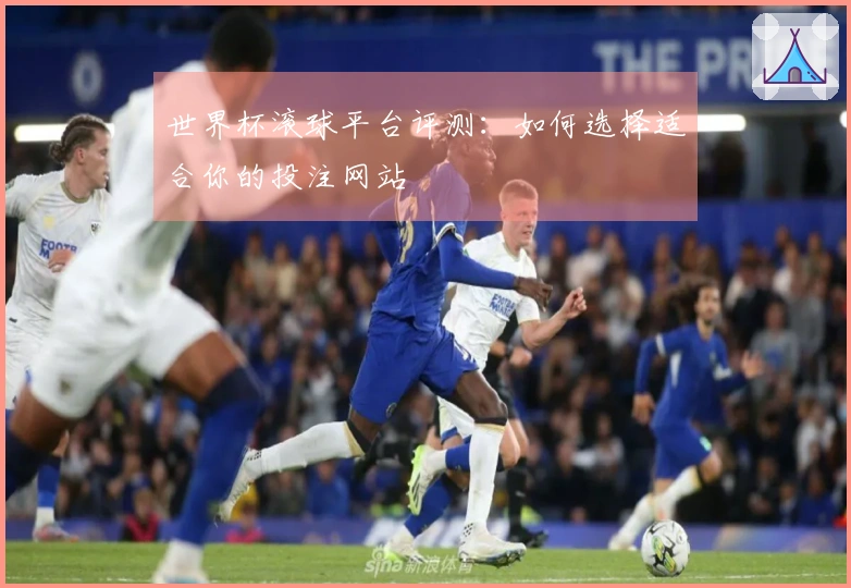 世界杯滚球平台评测：如何选择适合你的投注网站