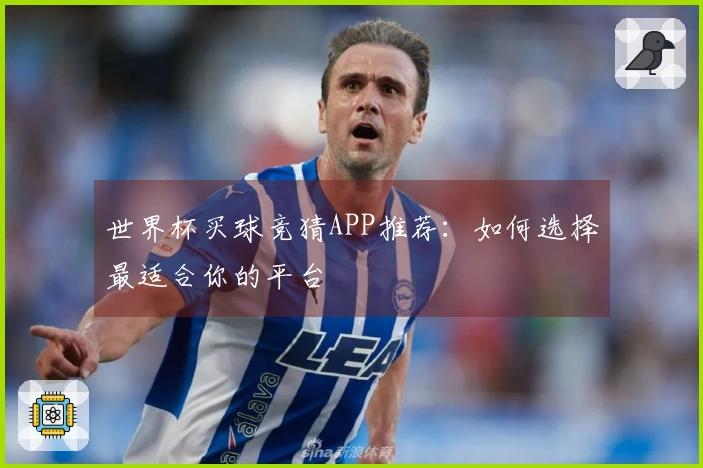 世界杯买球竞猜APP推荐：如何选择最适合你的平台