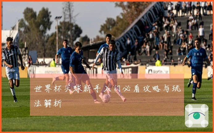 世界杯买球新手入门必看攻略与玩法解析