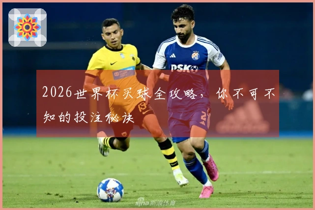 2026世界杯买球全攻略，你不可不知的投注秘诀