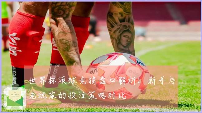世界杯滚球竞猜盘口解析：新手与老玩家的投注策略对比