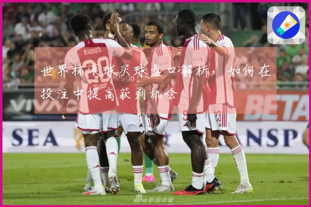 世界杯滚球买球盘口解析，如何在投注中提高获利机会